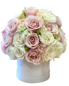 Flower Box Lea