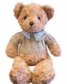 Cuddly Teddy Bear Brown