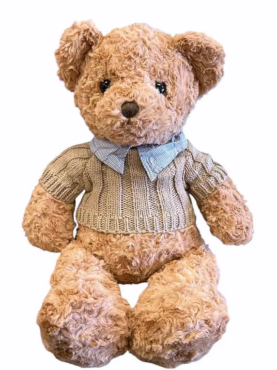 Cuddly Teddy Bear Brown