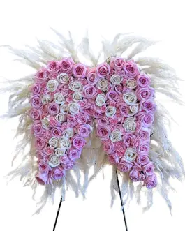 Angel Wings Solemn Beauty