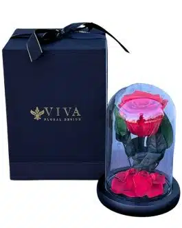 The Belle Classic Red Preserved Rose in Mini Glass