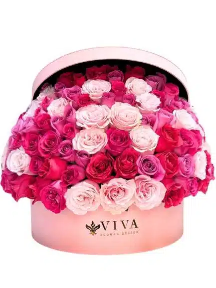 Pink Celebration